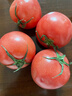 京鲜生沙瓤粉西红柿 净重3斤 单果100g+果菜两吃 源头直发 【搜生鲜馆】 实拍图