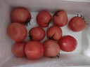 京鲜生沙瓤粉西红柿 净重3斤 单果100g+果菜两吃 源头直发 【搜生鲜馆】 实拍图