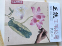 经典全集《正统工笔花鸟技法》入门基础教程书籍中国工笔画白描勾线牡丹上色涂色宋画临摹册初自学者手绘教材 实拍图