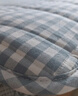 无印良品A类面料全棉棉花褥子双人家用床垫遮盖物宿舍床褥1.8x2米 蓝小格 实拍图