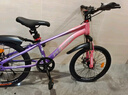 凤凰山地自行车男女变速山地车碟刹青少年儿童自行车学生单车 星际 粉紫【单速+辐条轮】 20寸【适合125-160cm】 实拍图