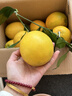 京地达赣南脐橙子江西新鲜水果节日送礼净重9斤单果240g+源头直发包邮 实拍图