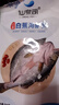 仙泉湖三去白蕉海鲈鱼1斤/条净膛冷冻刺少肉厚珠海特产500g生鲜食材 实拍图