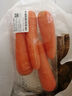 【霜打菜】沙地脆甜胡萝卜约500g  实拍图