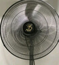 钻石牌（DIAMOND）工业风扇大风力电风扇牛角扇大功率风扇工厂车间商用立式落地大风扇工业壁扇吹除甲醛 FS-65 工业落地扇（铜线电机） 实拍图