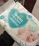 帮宝适超薄透气清新帮透氧Pro婴儿纸尿裤尿不湿尿片尿布L46 实拍图