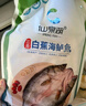 仙泉湖三去白蕉海鲈鱼1斤/条净膛冷冻刺少肉厚珠海特产500g生鲜食材 实拍图