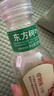 农夫山泉 东方树叶乌龙茶500ml*15瓶无糖茶饮料0糖0脂0卡整箱装解渴饮品 实拍图