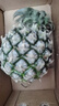 正宗海南金钻凤梨新鲜水果当季树上熟芒果凤梨【催熟食用】 1粒装单果500g-650g【7成熟，催熟再吃】 实拍图
