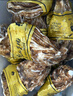 鲜京采 鲜活生蚝4XL 净重5斤 10-13只 鲜活到家 生鲜海鲜 源头直发 实拍图