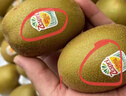 佳沛（zespri）新西兰 阳光金奇异果12粒礼盒特大果单果约122-146g 猕猴桃 水果 实拍图
