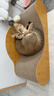 憨憨乐园猫抓板猫窝一体耐磨不屑猫爪窝立式双层瓦楞纸猫窝四季通用窝沙发 实拍图
