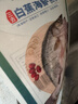 仙泉湖三去白蕉海鲈鱼1斤/条净膛冷冻刺少肉厚珠海特产500g生鲜食材 实拍图