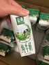 伊利【新鲜日期】金典纯牛奶整箱 250ml*16盒 3.6g乳蛋白 礼盒装 实拍图