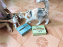 爪子心选（PETCHOICE）猫咪零食冻干宠物狗狗鸡胸肉多春鱼三文鱼干鸭肉牛肝蛋黄 鹌鹑蛋黄冻干70g 实拍图
