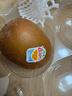 佳沛（zespri）新西兰  阳光金奇异果10粒礼盒巨大果单果约144-175g 水果 猕猴桃 实拍图