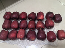 京鲜生 甘肃天水花牛苹果 又大又红 净重10斤 单果200g以上 新鲜水果  实拍图