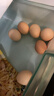 京觅富硒鲜鸡蛋 无抗生素  营养健康 30枚/盒3斤  源头直发 实拍图