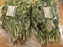 带根香菜100g 实拍图