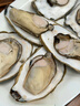 乳山牡蛎 鲜活乳山生蚝2XL 净重3斤 9-12只 生鲜海鲜  源头直发 烧烤食材 实拍图