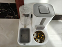 甜浪海自动喂食器猫碗猫咪饮水机狗狗吃饭喝水大容量投食器宠物粮食盆 实拍图