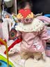 爱贝迪拉（AIBEDILA）婴儿罩衣围裙宝宝灯芯绒围兜婴儿童反穿防水防脏饭兜小孩秋冬外穿 【2件】迪克小狮+爱丽丝小兔 90码 （建议身高80-90cm） 实拍图