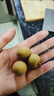 京鲜生泰国进口特级龙眼 巨无霸金标净重2斤 果径28mm+ 水果源头直发 实拍图