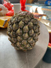 广东徐闻香水菠萝新鲜水果生鲜热带孕妇水果整箱包邮 【限时低价】1个装  单果650g起 实拍图
