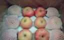 京鲜生 烟台红富士苹果 净重5斤  单果190g起 水果礼盒 实拍图