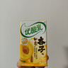 伊利优酸乳 如意杏子味250ml单盒装 果汁含乳饮料 实拍图