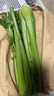 京鲜生山东榨汁大西芹新鲜蔬菜净重9斤源头直发包邮 实拍图