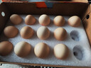 圣迪乐村 可生食鲜鸡蛋30枚礼盒装【超市卡活动专属，非常规售卖品】 实拍图