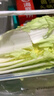 【霜打菜】三宝白菜650g(大娃娃菜) 实拍图