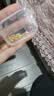 金小貅黄金蹦迪珠999足金爆闪雷瑟珠diy散珠5G足金手链金珠子女编绳送礼 0.82g,3mm蹦迪珠 实拍图