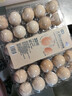【无抗】大码鲜鸡蛋1.8kg 实拍图