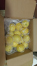 京鲜生 安岳黄柠檬16粒 单果95g-120g 生鲜水果 实拍图