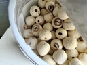 十月稻田 莲子 400g 湘潭产去芯磨皮白莲子 桂圆百合银耳羹煲汤食材 实拍图