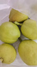 京鲜生新疆库尔勒香梨3斤装 全母梨 单果100-120g 源头直发 包邮 实拍图