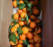 京觅 广西金秋砂糖橘净重4斤 单果40-50mm 精品果沙糖桔 源头直发包邮 实拍图