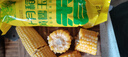 十月稻田 白糯玉米 4.16斤(260g*8根) 低脂早餐 东北玉米 杂粮粗粮 实拍图