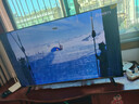 TCL电视雷鸟 【伸缩挂架送装一体】雀4 25款 55英寸 144Hz 莱茵护眼 2+32GB 平板电视机55F270C-JN 实拍图