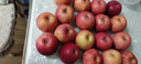 京鲜生 陕西洛川红富士苹果 净重8斤 单果200g 生鲜水果 实拍图