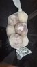 大蒜头出口品质网兜紫蒜蔬菜调料新鲜大果烧烤火锅食材 【精品网兜装】6头装 180g 实拍图