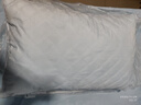 洁丽雅（Grace）纤维枕 星级酒店枕头枕芯 46*72cm 一对装（2只装） 实拍图