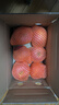 京鲜生 陕西洛川苹果红富士12粒 单果180-220g 生鲜水果 实拍图