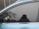 3M汽车贴膜 朗清系列 前浅后深SUV 全车汽车玻璃车膜太阳膜隔热膜车窗膜 包施工 国际品牌 实拍图