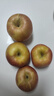 京鲜生 新疆阿克苏冰糖心苹果 净重9斤 果径75mm 新鲜水果 实拍图