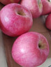 京鲜生 烟台红富士苹果 净重10斤 单果190g以上 生鲜水果 礼盒装 实拍图