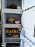 樱花（SAKURA）双门小冰箱迷你冰箱小型家用宿舍保鲜冷藏冷冻 双门小型两门电冰箱 BCD-78A152闪光银78L 实拍图