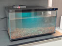 米家（MIJIA）智能生态鱼缸还原自然生态 智能鱼缸+滤芯套装 实拍图
